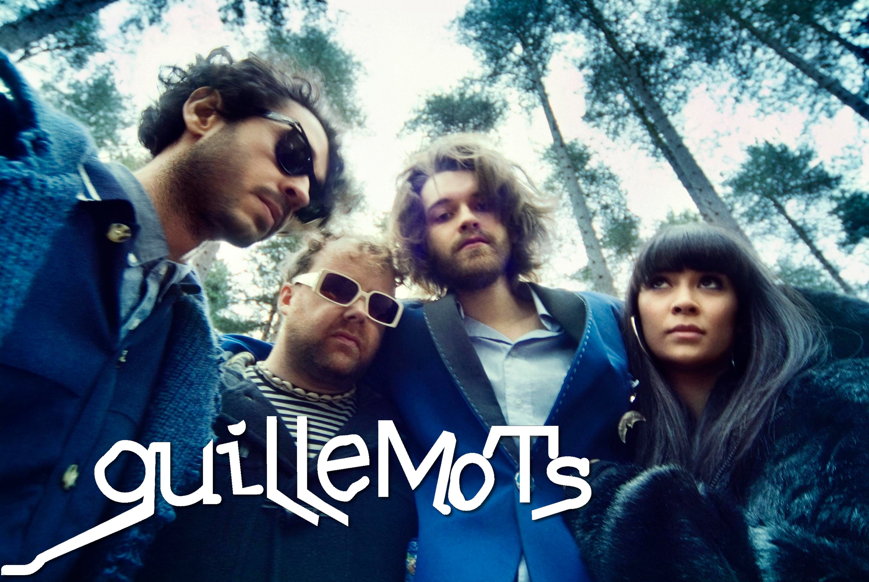 Guillemots