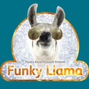 Rhythm of the Night - Funky Llama