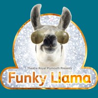 Rhythm of the Night - Funky Llama